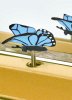 Enchantmints Music Box