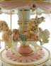 Luxury Musical Carousel